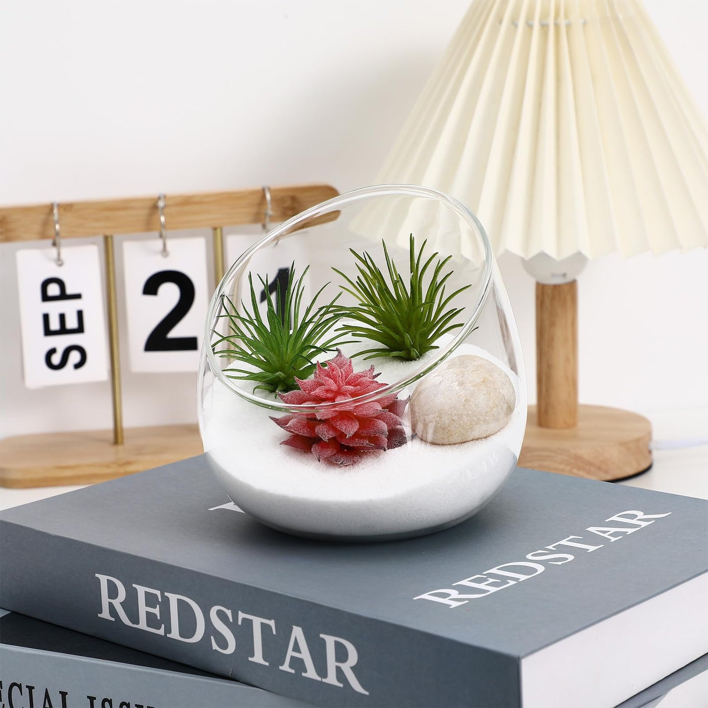 WOFASHPURET 4.72" Slant-Cut Glass Terrarium Jar – Thickened Globe Bottle for Succulent & Moss Mini Ecosystem, Stable Desktop Planter for Home Office Décor & Gift