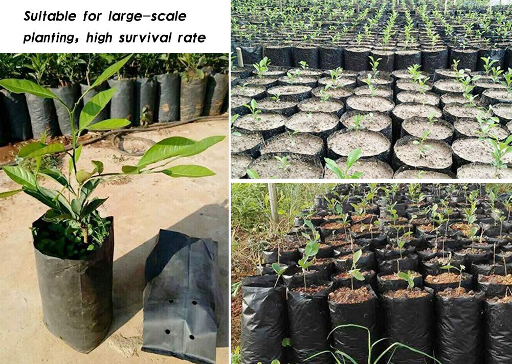 Frjjthchy 100 PCS Thicken Plastic Nursery Bags for Plants Fruit Flower Grow Bags Seedling Pots (7.87x13.78 in)
