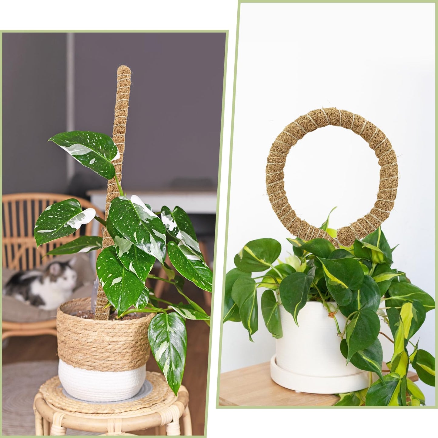Deergo 4Pack 30 Inch Moss Pole, Bendable Moss Pole for Plants Monstera Coco Coir Plant Support Pole for Small Climbing Plants Grow Up, Brown