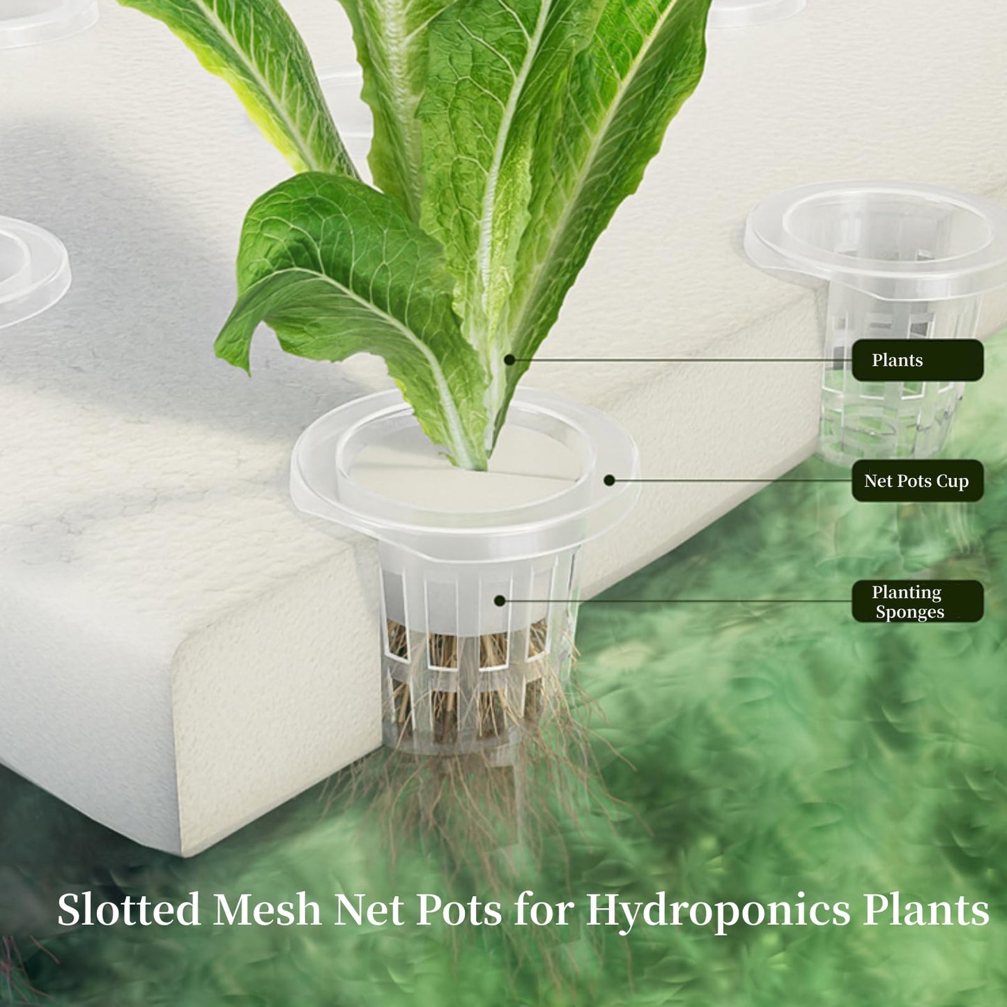 AUNMAS 2 Inch Plastic Net Cups, 10 Pack Garden Slotted Mesh Net Pots Hydroponic Pots for Hydroponics, Orchids, Aquaponics, Seed Starting (White)