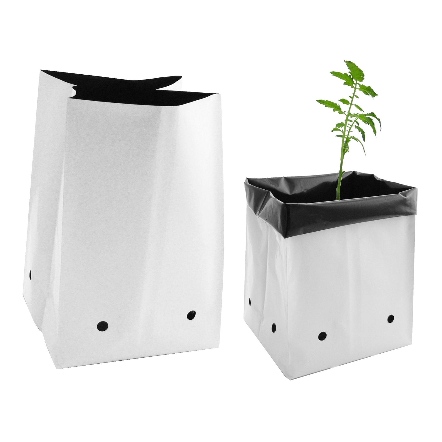 Viagrow V724400-50 1 gallon, 50 pack Grow Bags, White