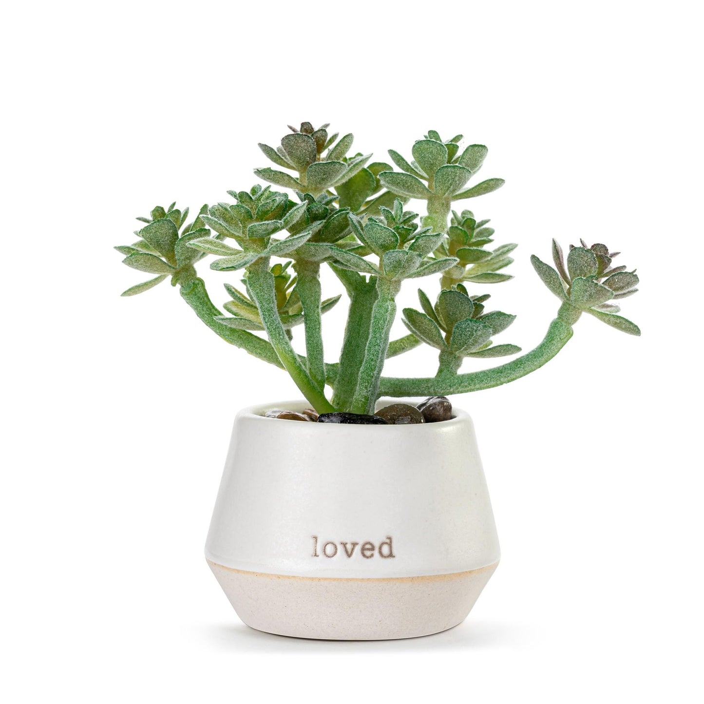 DEMDACO Loved Just Because Artificial White 2 x 1.5 Stoneware Mini Succulent