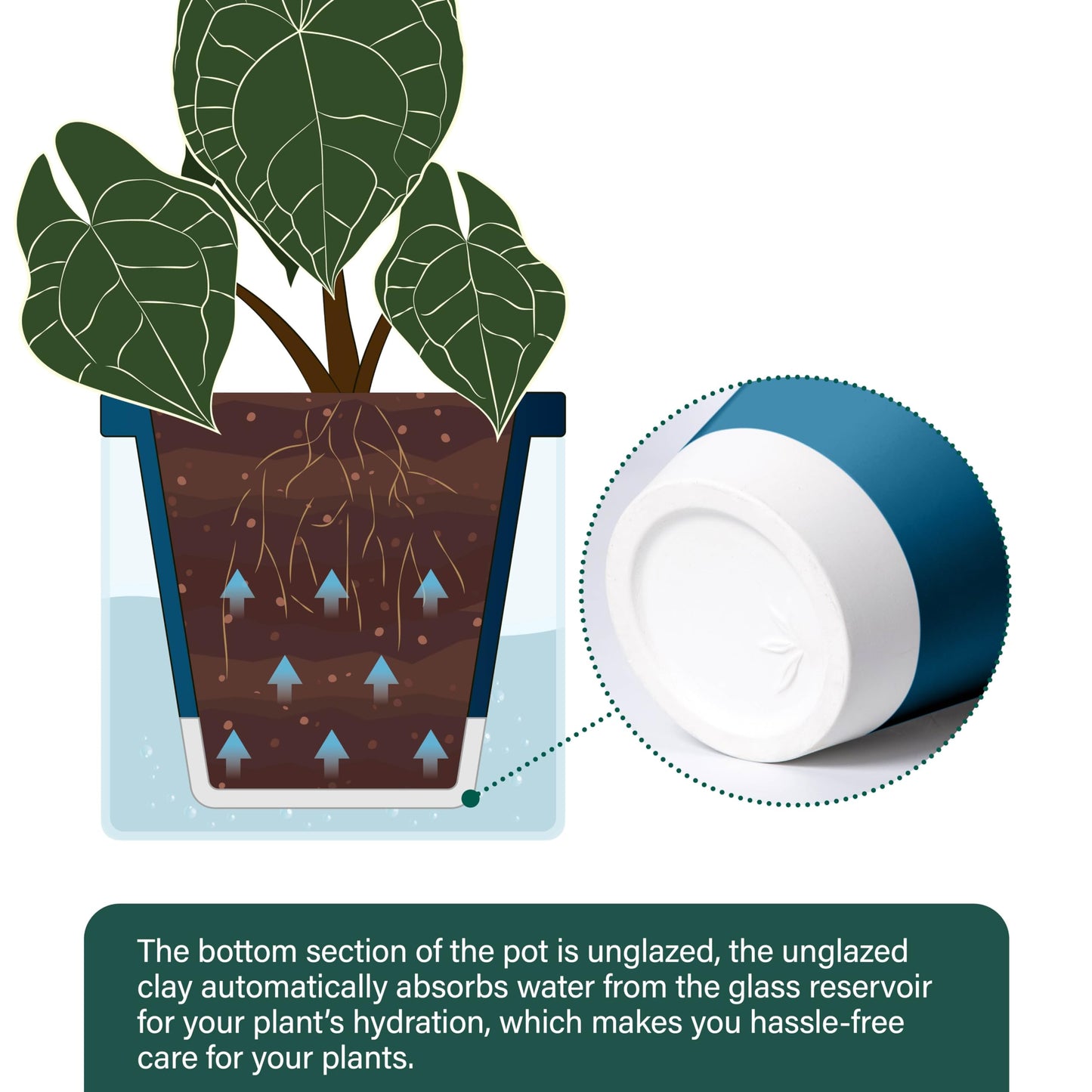D'vine Dev 6 Inch Design Self Watering Planter for Indoor Plants, Blue Terracotta Pot with Cylinder Glass Cup, Set of 2, 37-Y-B-4
