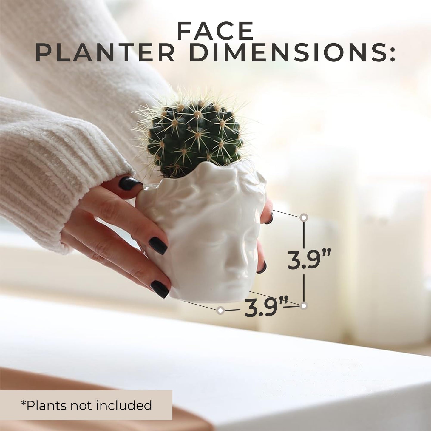 DOMIVKA Small Head Planter - Ceramic Face Planter Pots for Indoor Plants, Cute Funny Succulent Pot with Drainage Hole, Unique Gift, 3.9"