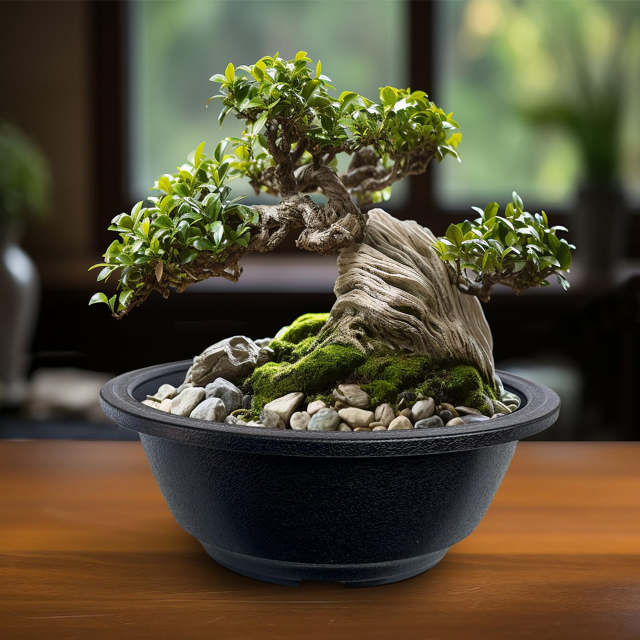 MUZHI 12PACK Matte Black Succulent Bonsai Round Planter Bowl Pot with Drainage, Plastic Cactus Flat Garden Plant Bowl Pots 6.3”