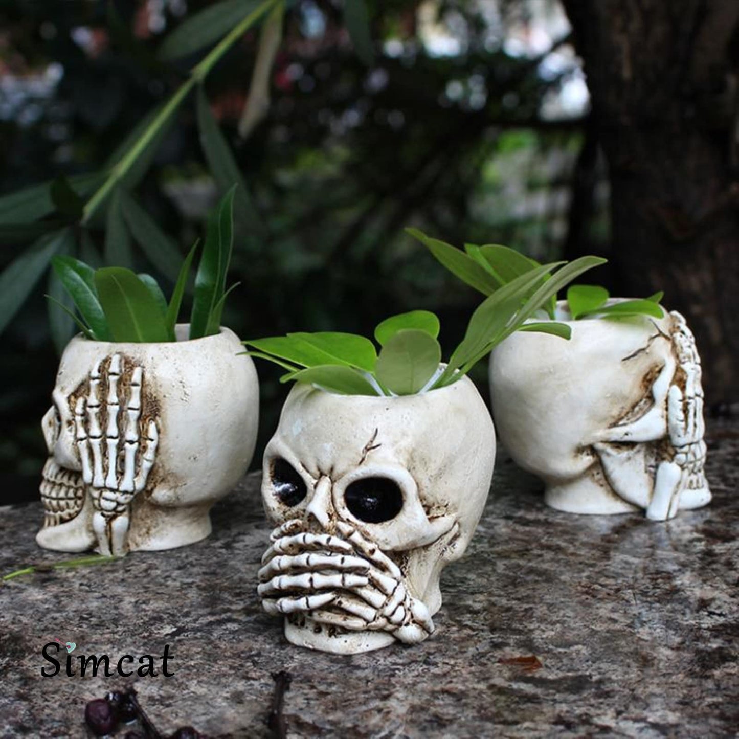 Simcat Succulent Pots with Drainage Mini Creative Skull Decor Resin Flower Pot 3 Cactus Planter Pots Succulent Plant Pots + Removable Drainage Stopper for Home Office Desktop Windowsill Décor