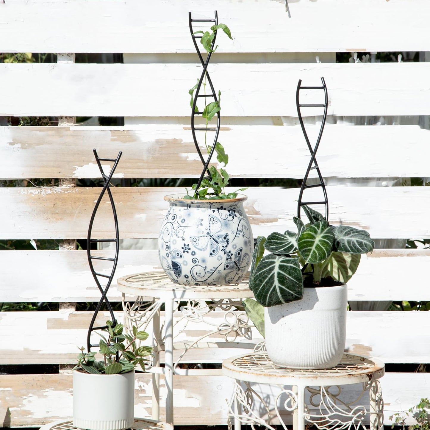 Goooxim DNA Spiral Plant Trellis Indoor - Durable Metal Trellis for Potted Plants, Perfect for Small Houseplant Pots, Ideal for Ivy and Pothos, Space-Saving Vertical Support for Climbing Growth
