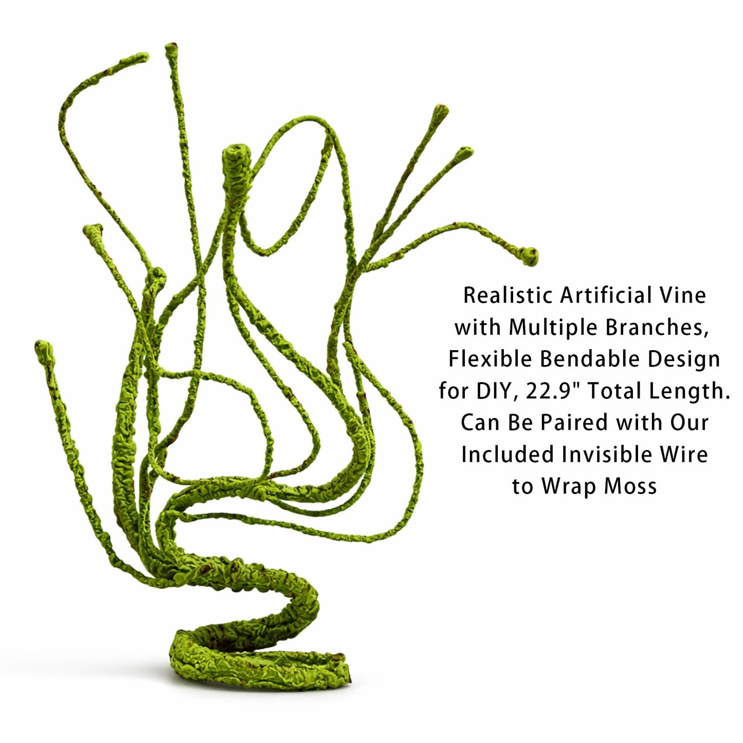 Jumping Spider Enclosure Kit, Waterproof Clear Acrylic Spider Terrarium, Front Opening + Top Access, Ventilated Insect Habitat with Moss Vine, Green Plant, 2 Moss Packs & Invisible Line (6-Piece Set)