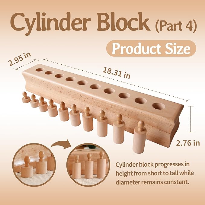 MONTESSORI OUTLET Cylinder Block (Part 4) for Children Aged 3-6 Montessori Education at School and Home