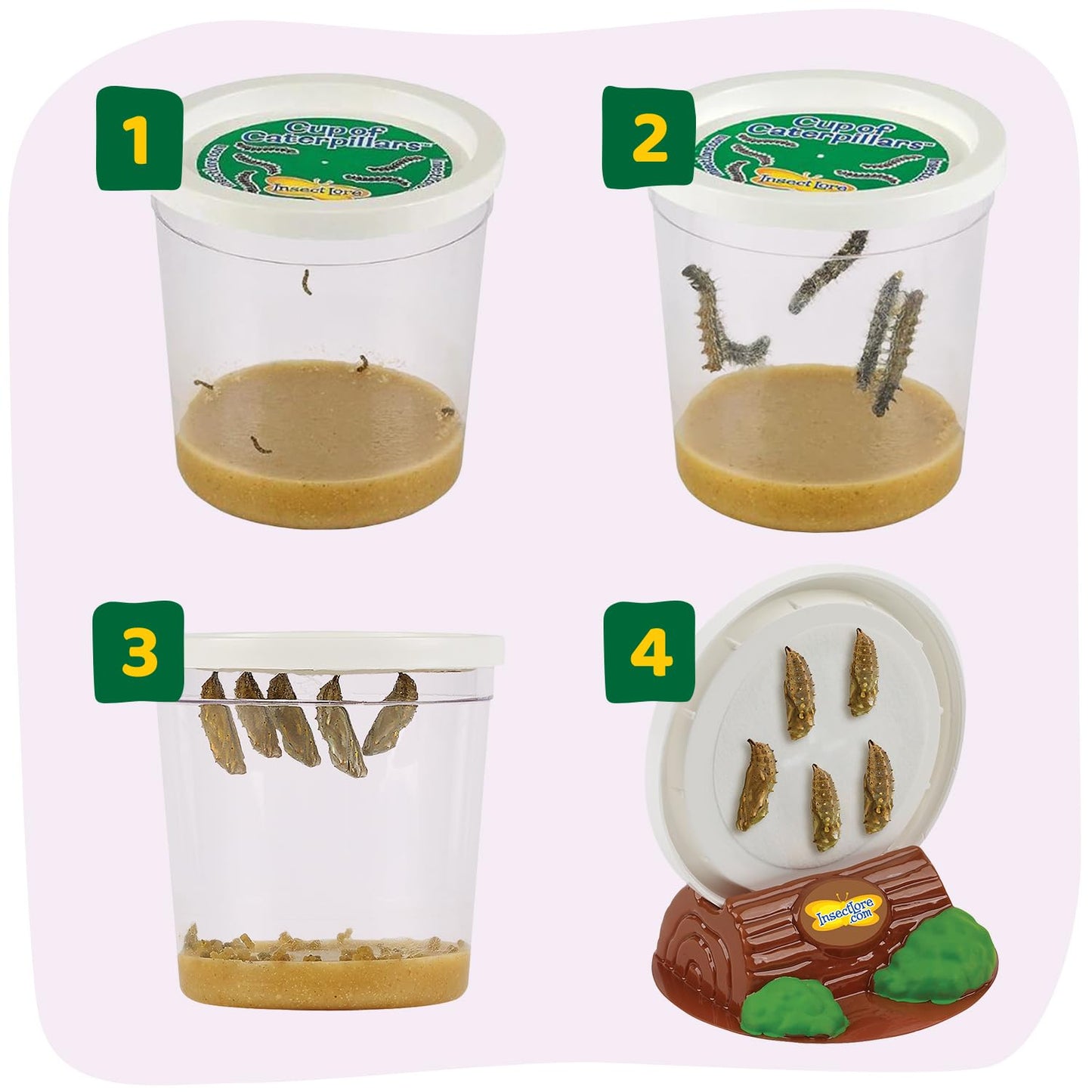 Insect Lore Raise and Release Butterfly Garden Kit – Caterpillar Habitat with redeemable Voucher – STEM-accredited Butterfly Growing Kit for Kids, Classrooms, and Homeschool Learning