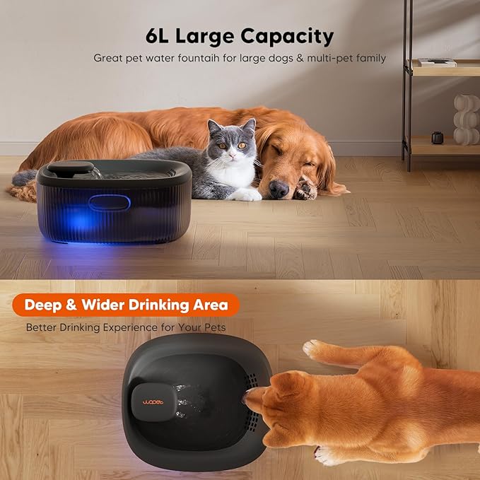WOPET Dog Water Fountain for Large Dogs, 6L/205oz/1.6Gal Automatic Dog and Cat Water Fountain, Pet Water Dispenser with Filters (Charcoal Dog Fountain+5 Filters)