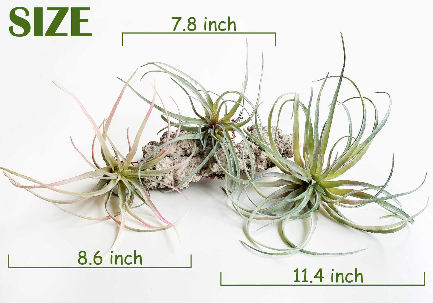 Casktcom® Extra Large Artificial Air Plants – Set of 3 Faux Tillandsia Bromeliads，Fake Succulent Plants – No Care Needed