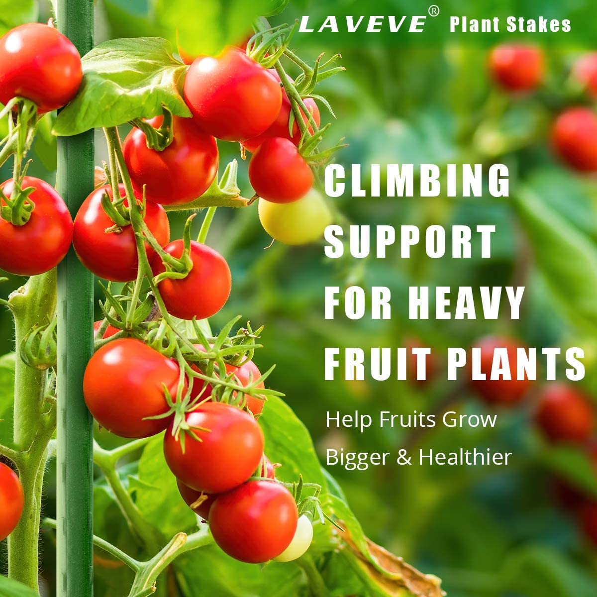 LAVEVE Garden Stakes 36 Inches Heavy Duty Steel Tomato Stake, Plastic Coated Support for Securing Trees, Climbing Plants, Cucumber, Beans, Pack of 20