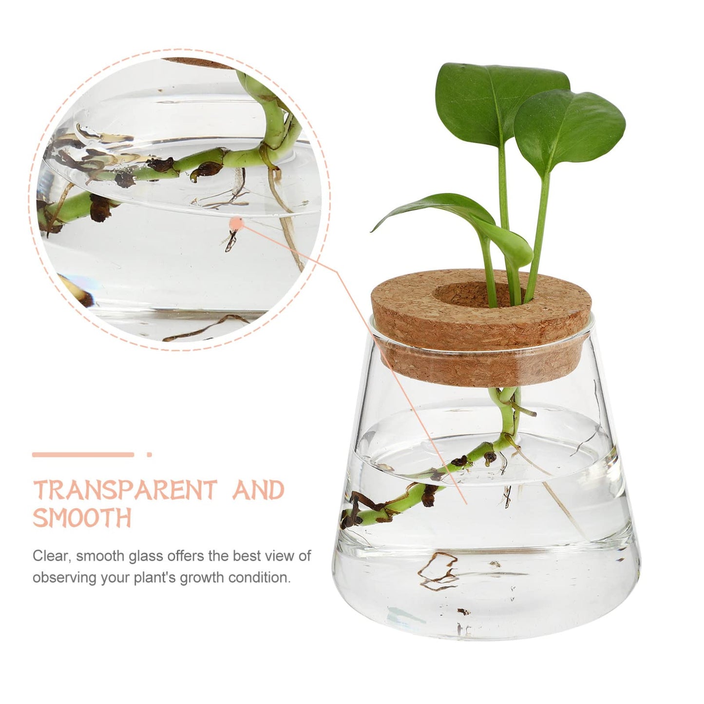 NOLITOY 2pcs Desktop Glass for Hydroponics Stylish Water Vase for Decor Glass Terrarium for Plant Propagation