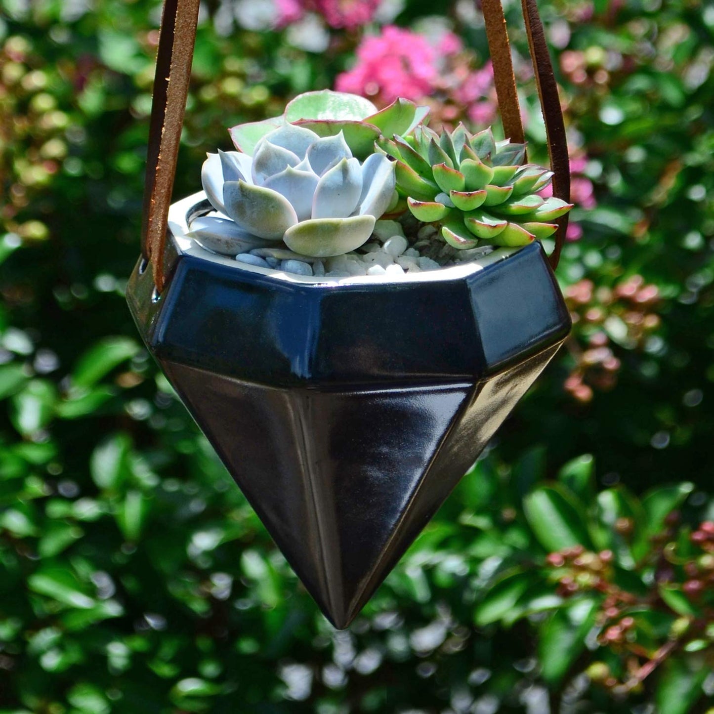 Arcadia Garden Products AP12B Ceramic Air Planter, Diamond Style-4.5X4.5 Black