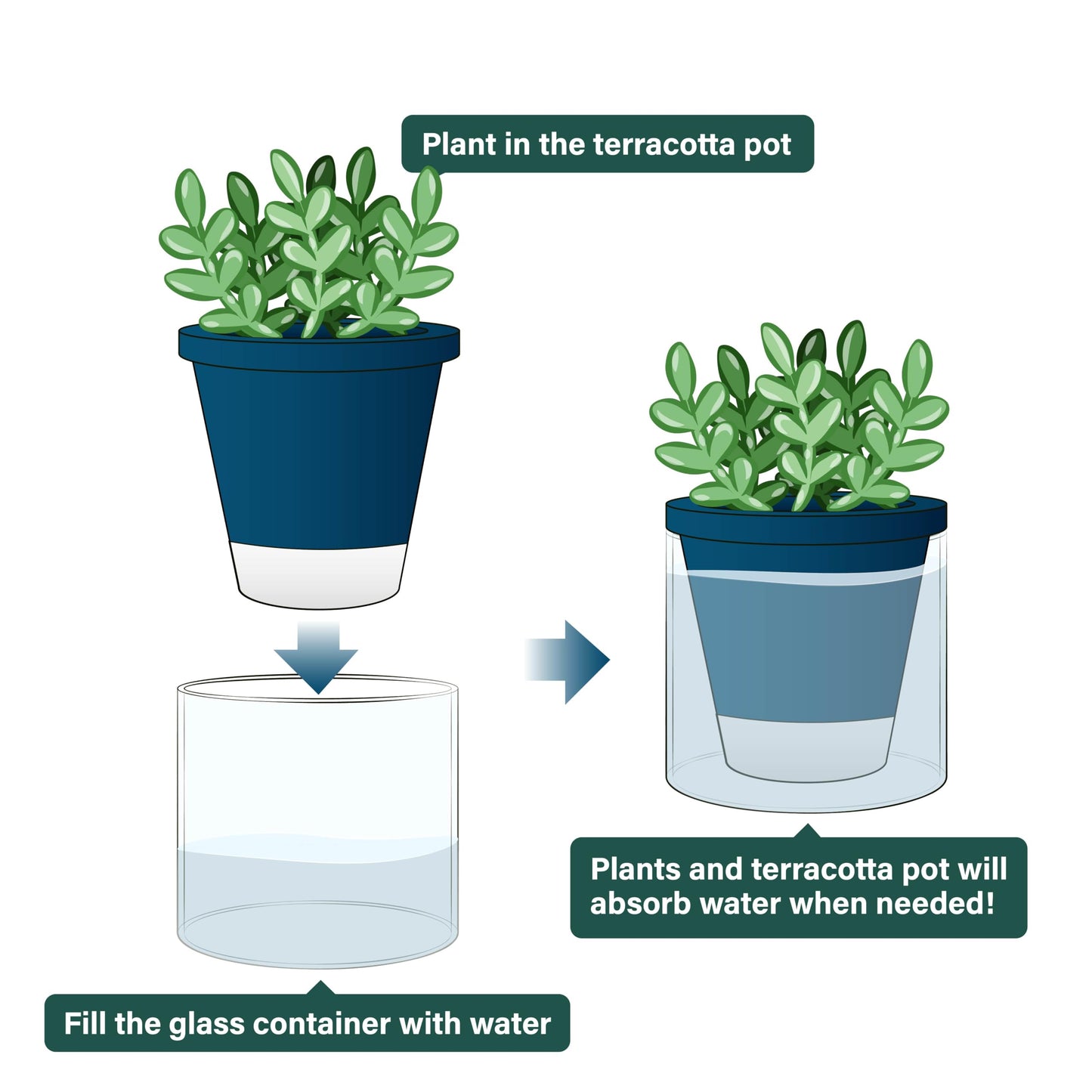 D'vine Dev 4 Inch Design Self Watering Planter for Indoor Plants, Blue Terracotta Pot with Cylinder Glass Cup, Set of 2, 37-Y-A-4