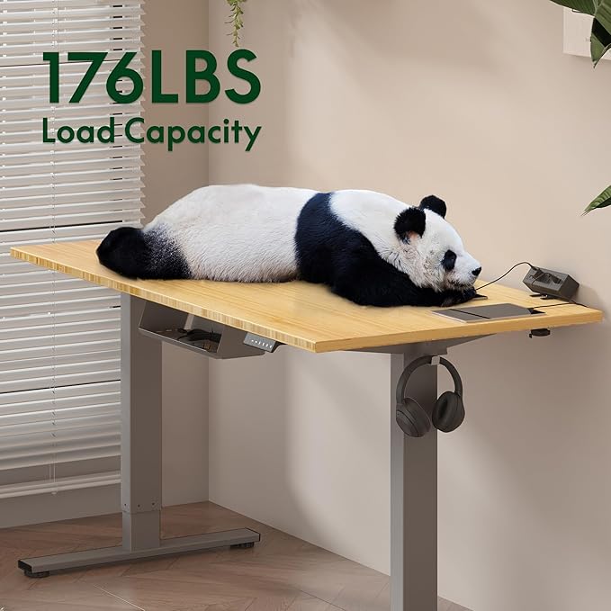 FLEXISPOT EN2 Whole-Piece Bamboo Standing Desk with Clamp Power Strip, 48 x 24 Electric Stand Up Height Adjustable Desk with Cable Management (Grey Frame + 48" Bamboo Top, 2 Packages)