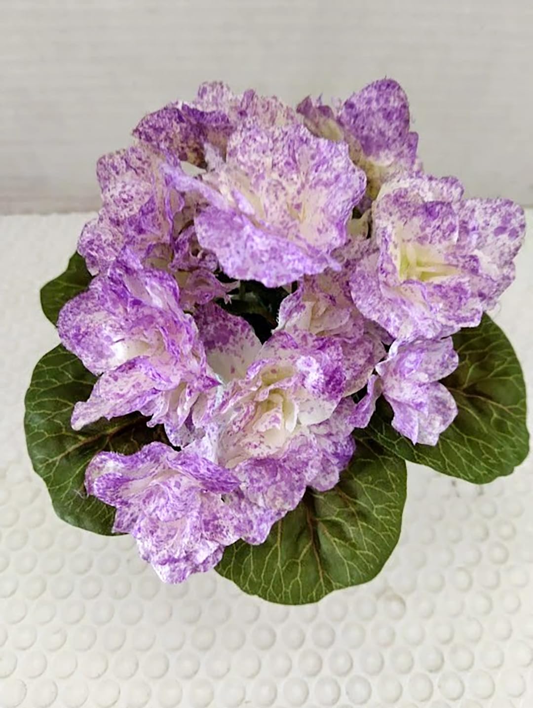 6" Purple Artificial Miniature African Violet – Faux Potted Flower with Ceramic Pot for Home Decor, Office Desk, Shelf Decoration & Small Space Accent