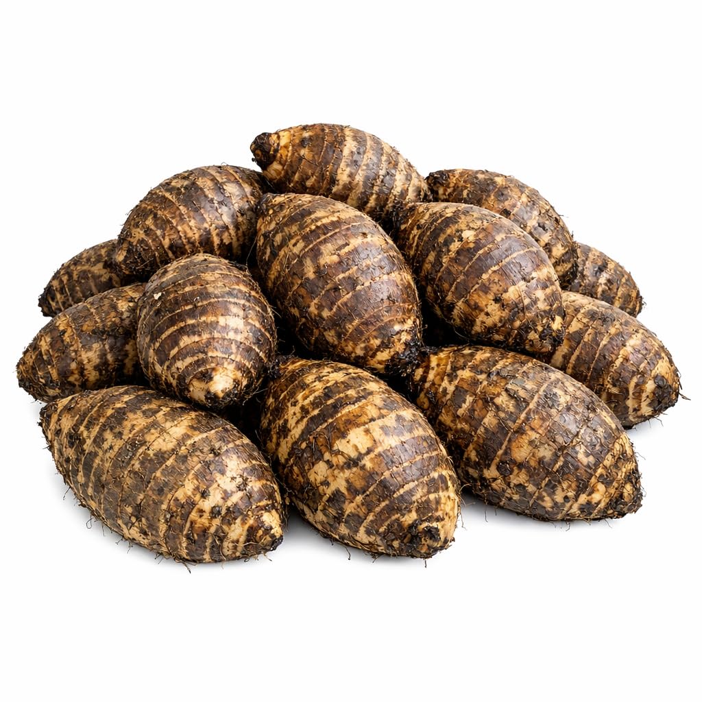 Ready 2 Grow 25 Live Bulbs Colocasia Esculenta Elephant Ear Taro Gabi Kalo Eddo