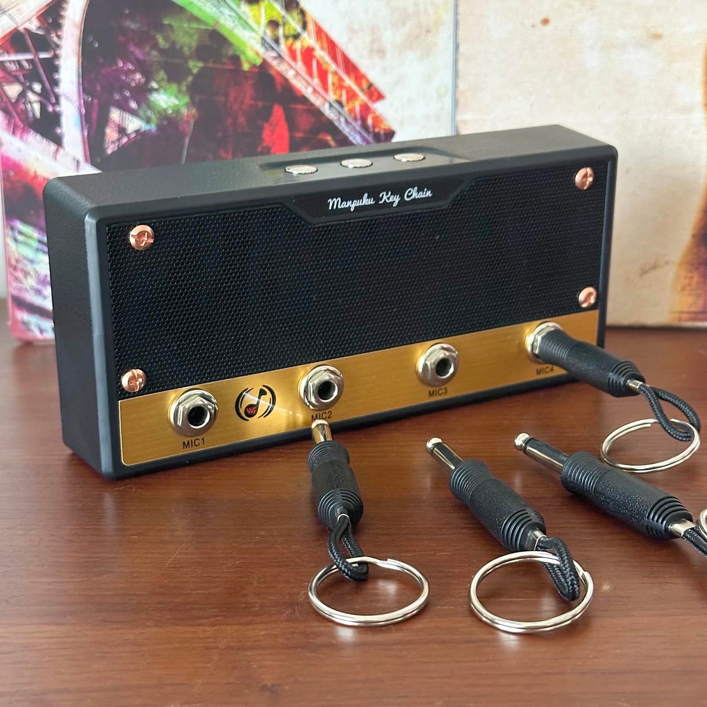 SaSpoloi Guitar Amp Key Holder for Wall Mount, Includes 4 Guitar Plug Key Fobs and 1 Wall Mounting Kit (Black)