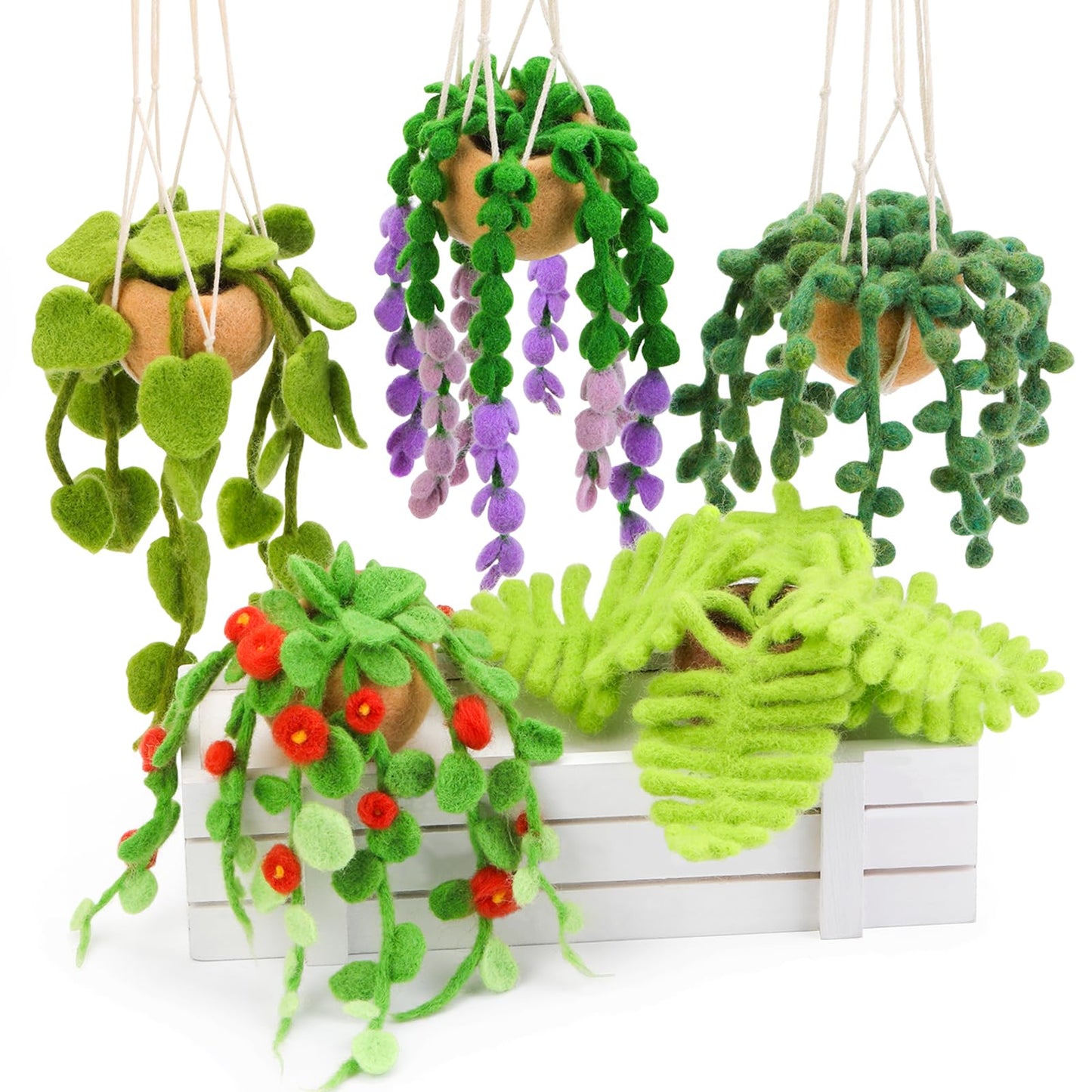 OEHPICC Needle Felting Kit, 5 Pack Hanging Plants Needle Felt Beginner Kit, Including Basic Felting Tools, Instructions, Felt Craft Kit for Indoor Outdoor Office and Home Decor