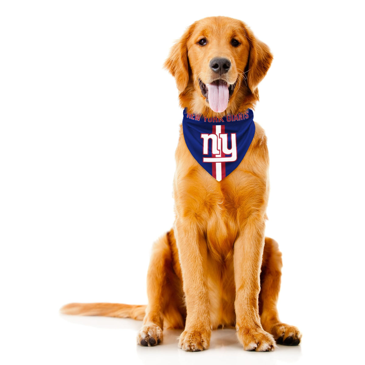 Littlearth NFL Denver Broncos Pet Bandana, Team Color, Small