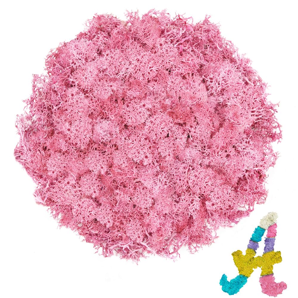 TCYPUHL Preserved Reindeer Moss 3.5 OZ Pink Natural for Crafts, DIY Gift Christmas Decor, Wall Art, Potted Plants, Floral Fake Moss for Easter Table Decor Wedding Decorative(3.5 OZ, Pink)