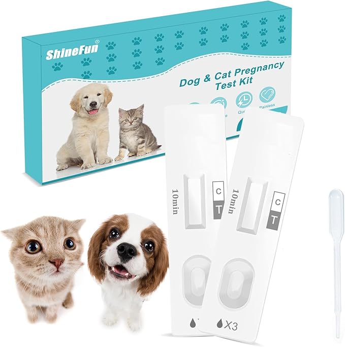 Dog & Cat Pregnancy Test Kit at Home,Dog Urine Test - Urine-Based, 98.8% Accurate, 10-Minute Results, Painless(1 PCS)