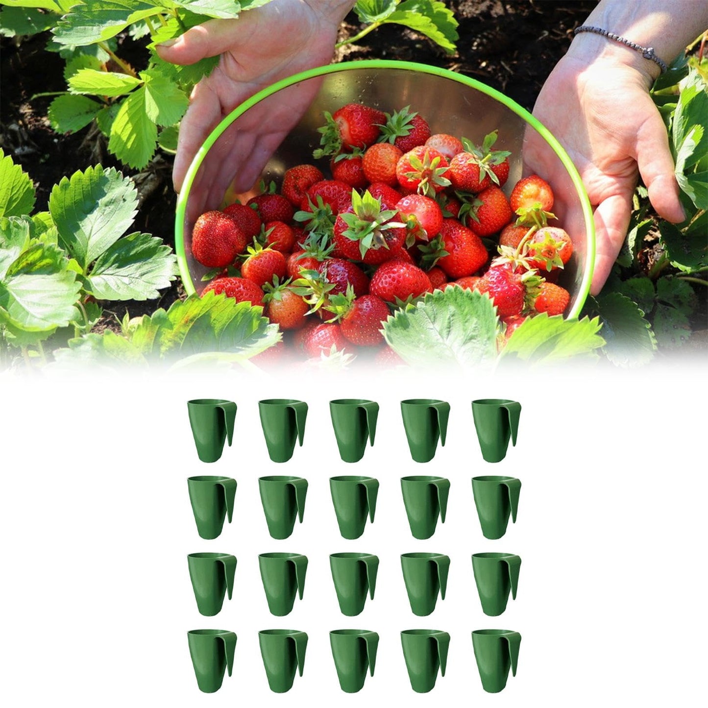 Fonowx 20 Pieces Plant Propagation Cup Fast Transplanting Stem Branching Cup Strawberry Roots Nursery Pot Breathable PP Structure, Size S