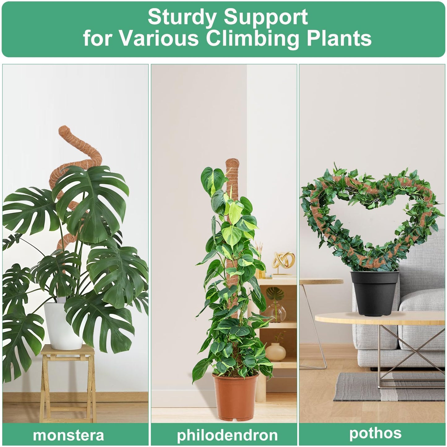 3 Pack Moss Pole, 50 Inch Monstera Plant Support, Tall Moss Poles for Climbing Plants Indoor DIY, Coco Coir Plant Pole Moss Plant Stick Support Stake Kit for Potted Plants, Pothos, Philodendron