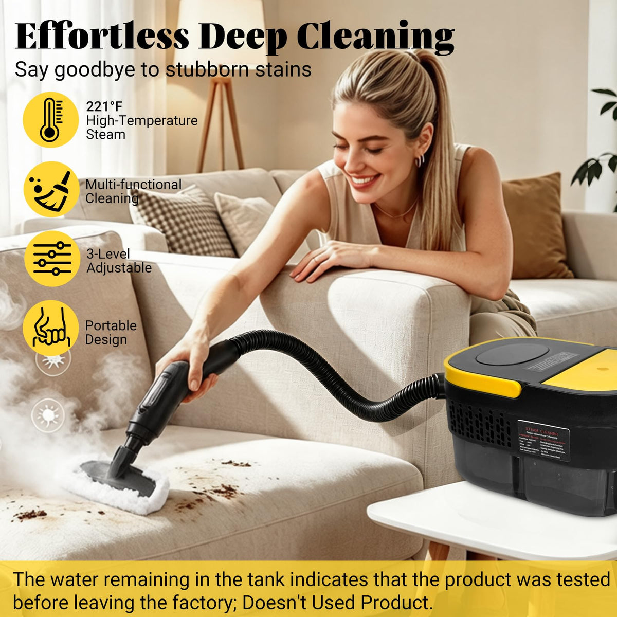 Steam Cleaner