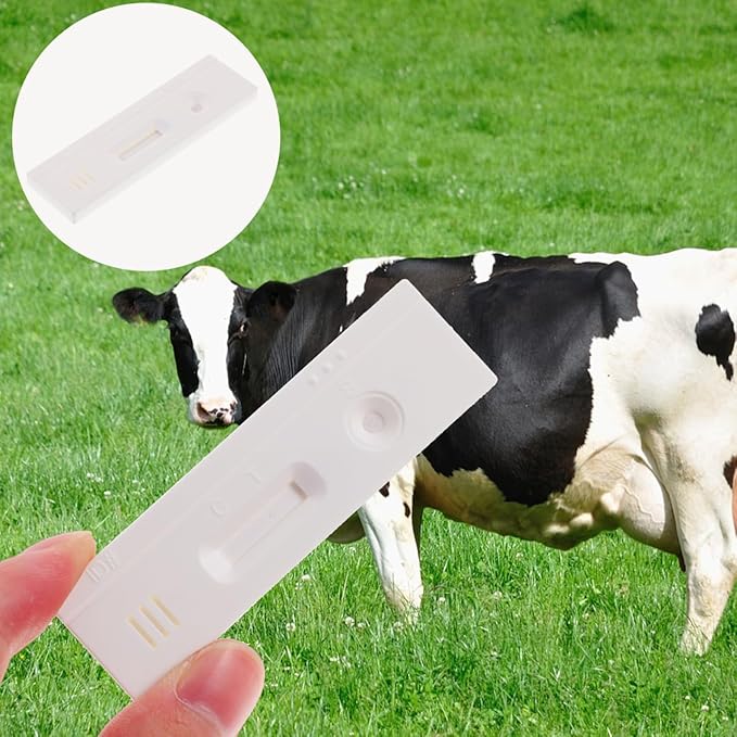 1Pc Horse Pregnancy Test Strip for Cow Pregnancy Tests PlasticLivestock Testing Paper Livestock Pregnancy Test Strip White