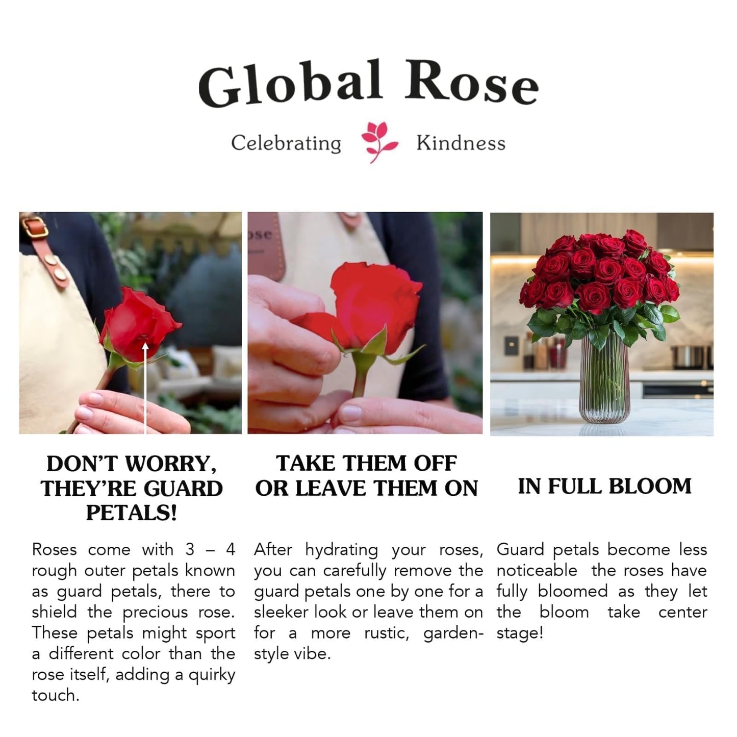 GlobalRose Real Fresh Cut Red Roses - 50 Fresh Flowers - Real Flowers Bouquet for Mother's Day, Gift or Wedding