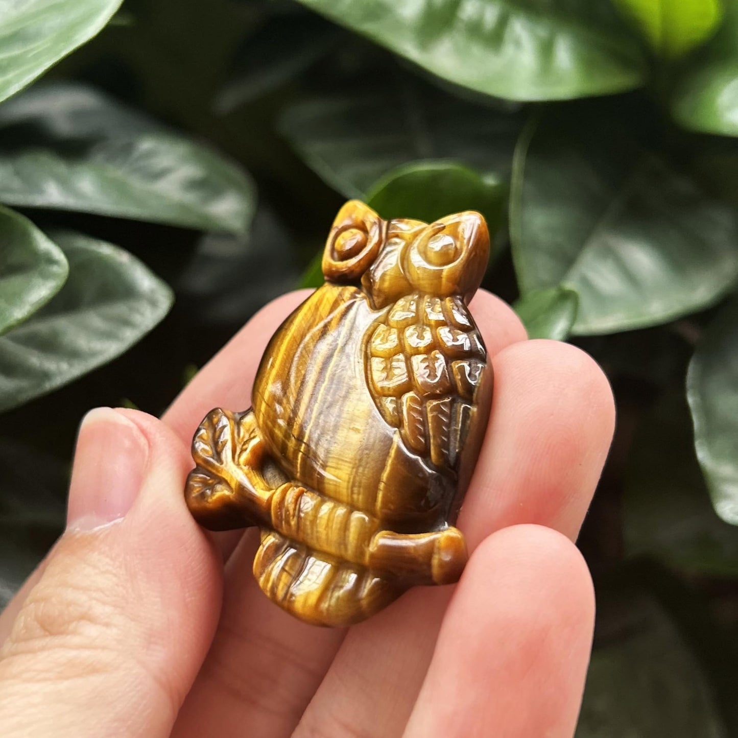 Bacatgem Natural Tiger's Eye Owl Figurines Crystals and Healing Stones,Haped DIY Pendant