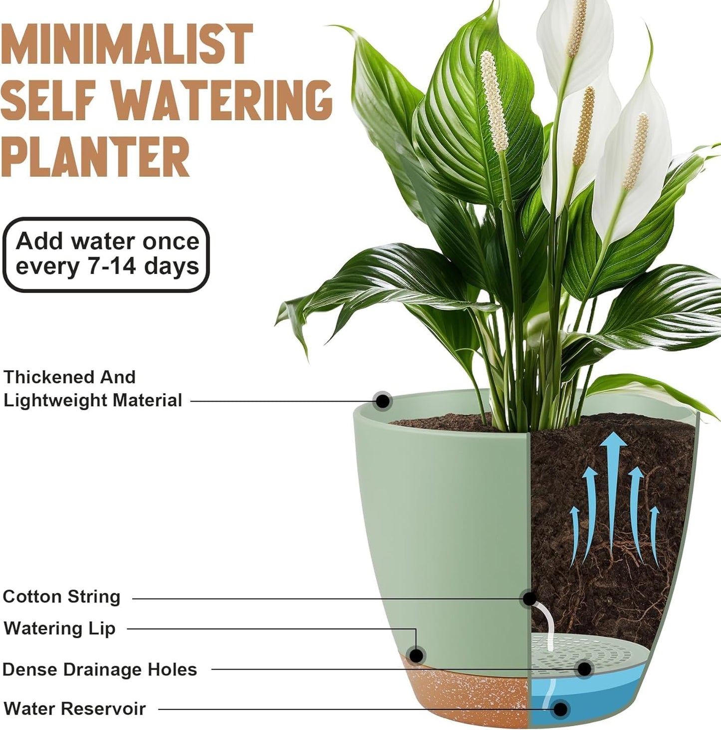 QRRICA Plant Pots 8/7/6.5/6/5.5/5 Inch Self Watering Pots and 12/10/9 Inch Pots