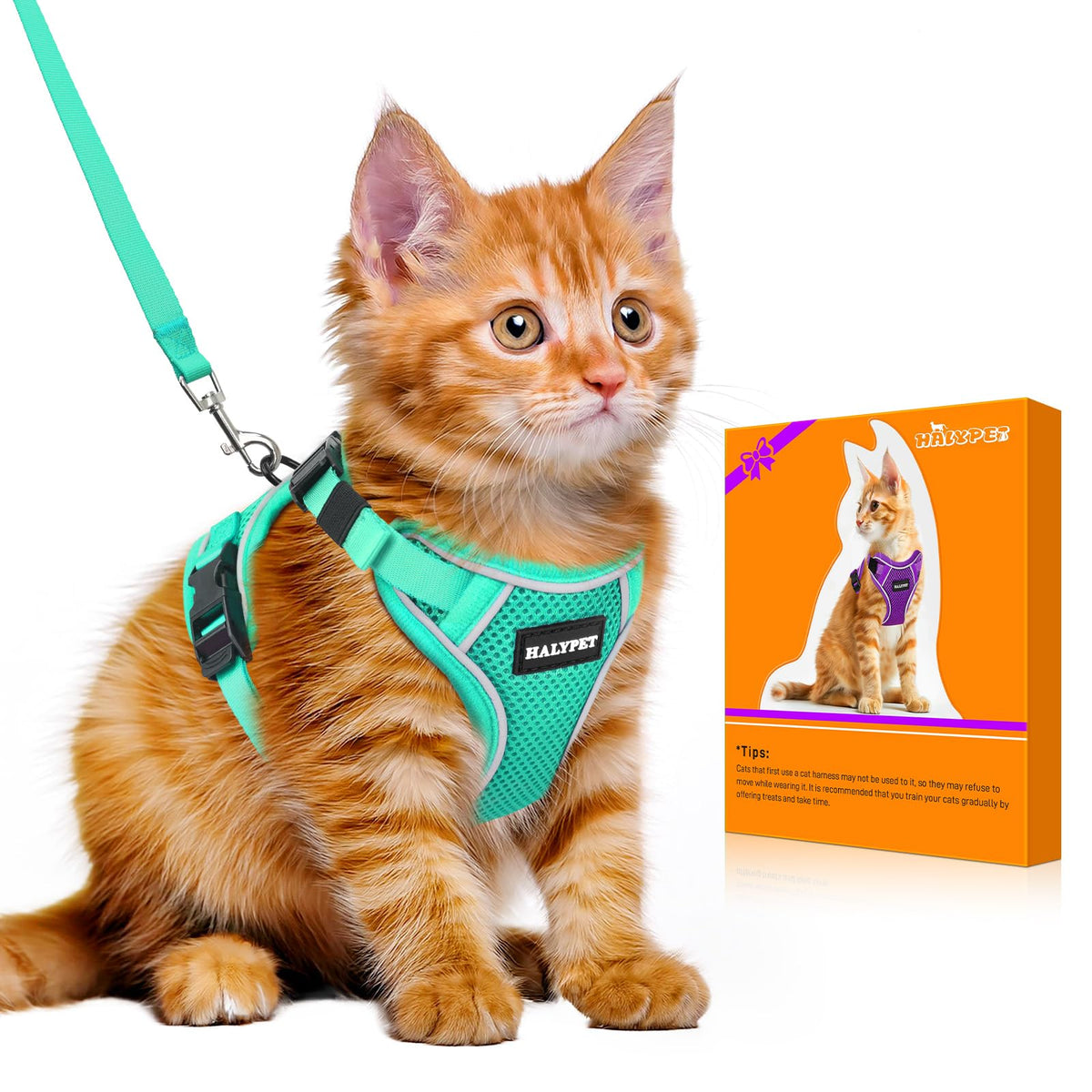 Cat Harness and Leash Set,Escape Proof Kitten Harness,Orange