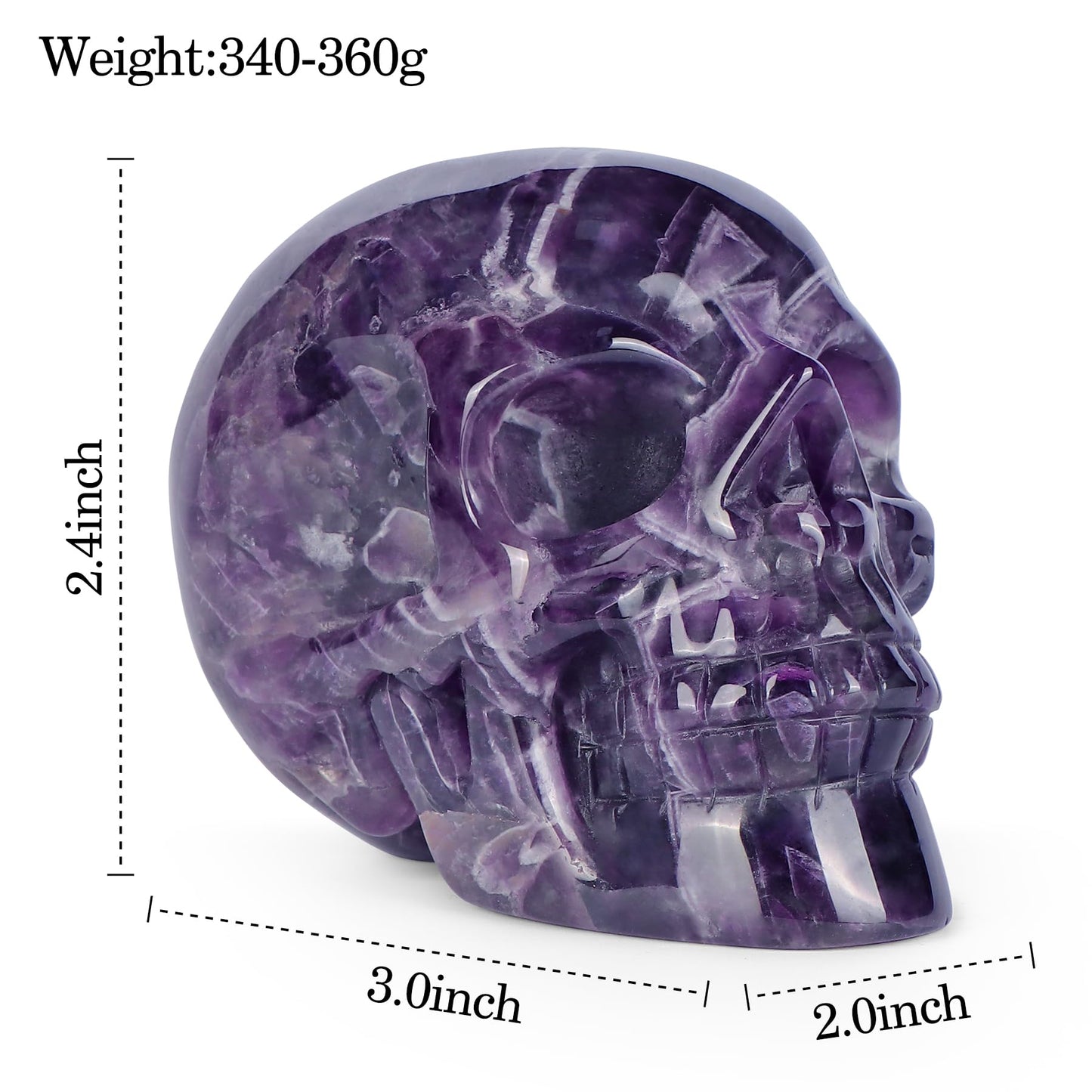 LEADGEM Amethyst Crystal Skull Head Figurine Hand Carved Large Quartz Gemstone Skull Statue Sculpture Decor for Day of The Dead Halloween(3 Inches)