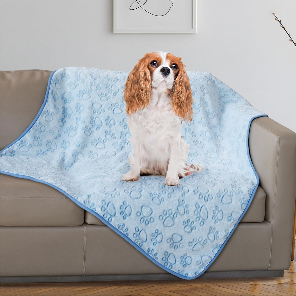Stuffed Large Brown Premium Soft Dog Blanket, with Flannel Cute Paw Print, 43 * 66 inches, Cat Blanket Maltipoo Puppy Essentials