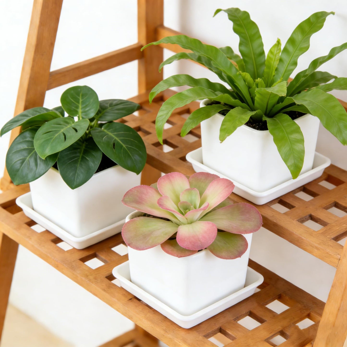 LannuMet 10pcs Plastic 6" Square Plant Saucer Drip Tray Indoors Outdoors Flower Pot Tray