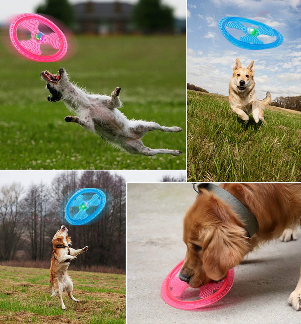Wandrola Flying Disc Dog Sport Toy with Flashing LED Lights, Light Up Pet Disk for Ultimate Night Time Play, Blue