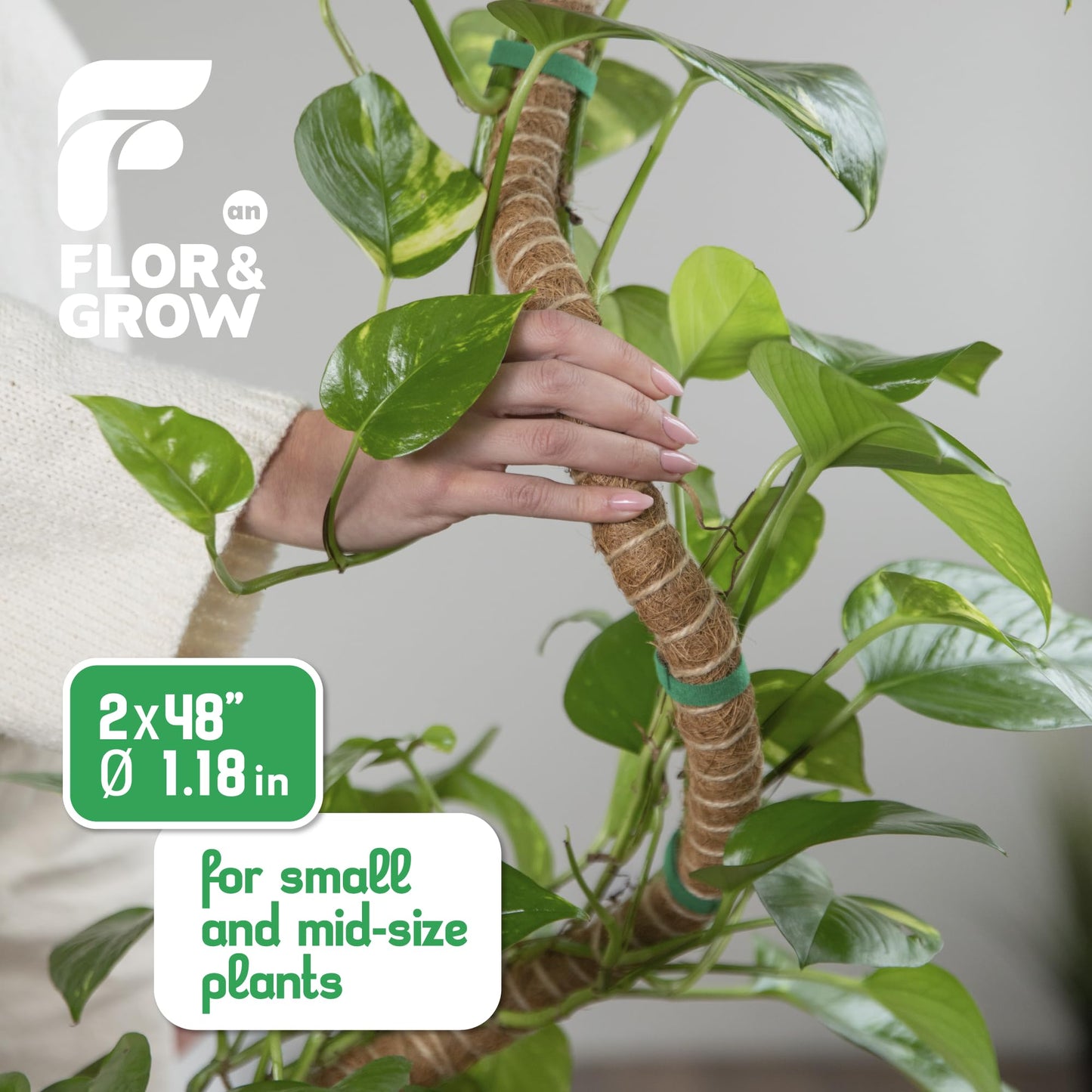 2 Pack 48" Sturdy Easy to Use Moss Pole Monstera Plant Support Stakes - Plant Stakes for Indoor Plants, Moss Poles for Climbing Plants, Tutores para Plantas Trepadoras Monstera Support Sticks