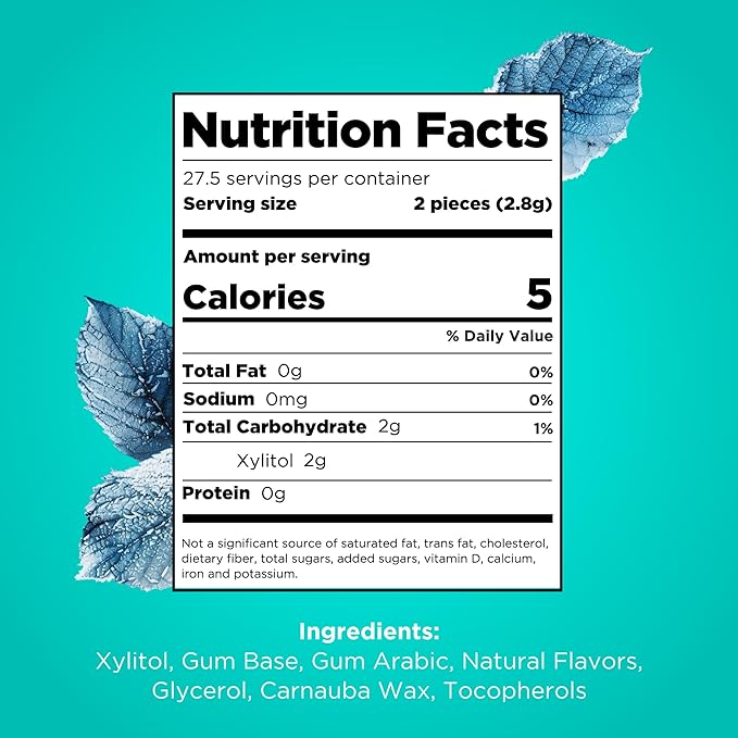 PUR Gum | Aspartame Free Chewing Gum | 100% Xylitol | Natural Wintergreen Flavored Gum, 55 Pieces (Pack of 12)