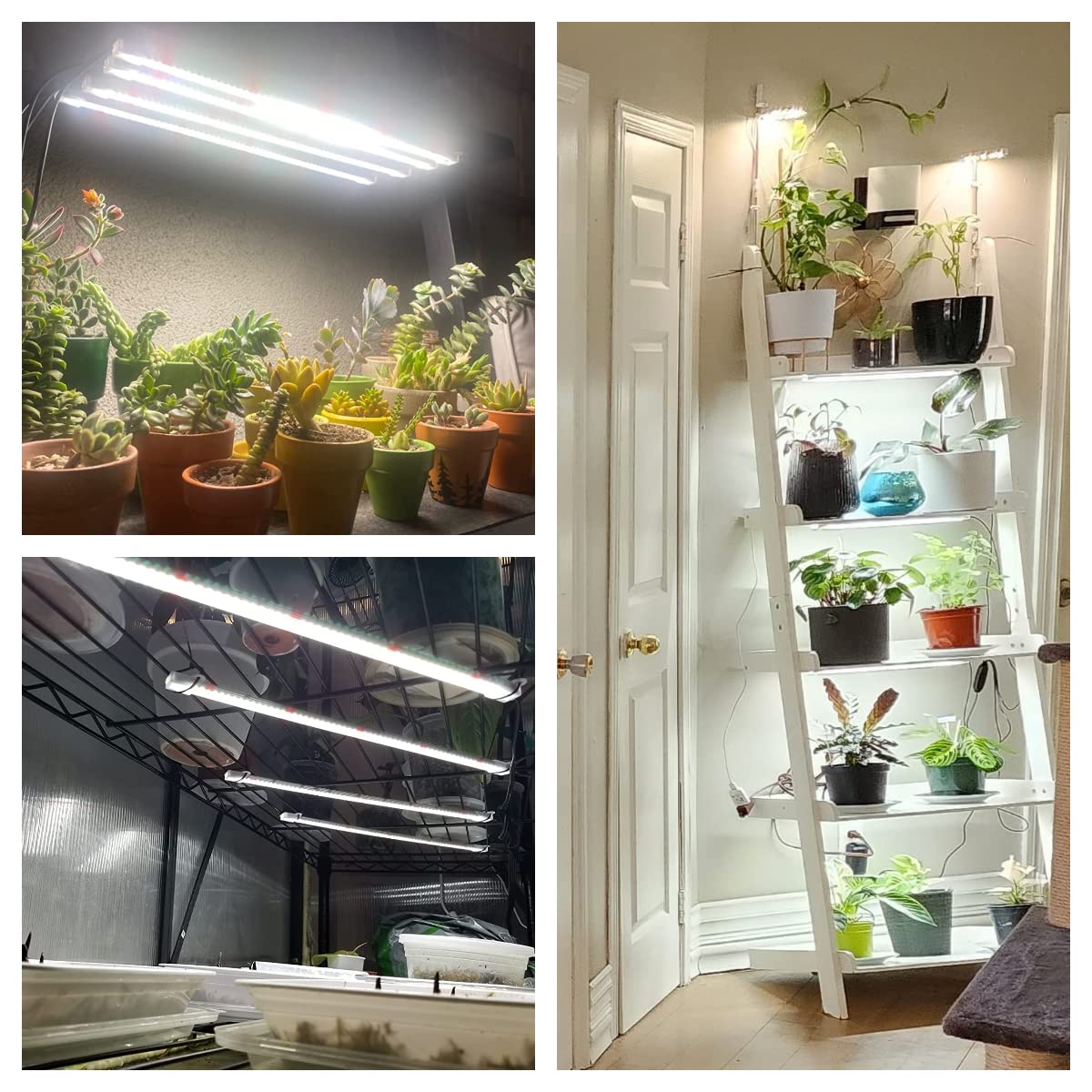 Wiaxulay Grow Lights for Indoor Plants Full Spectrum, 120 LEDs Plant Grow Light Strips with Auto ON/Off Timer 6/12/16Hrs, 5 Brightness, 3 Switch Modes Growing Lamps for Seed Starting, Succulent,2 Bars