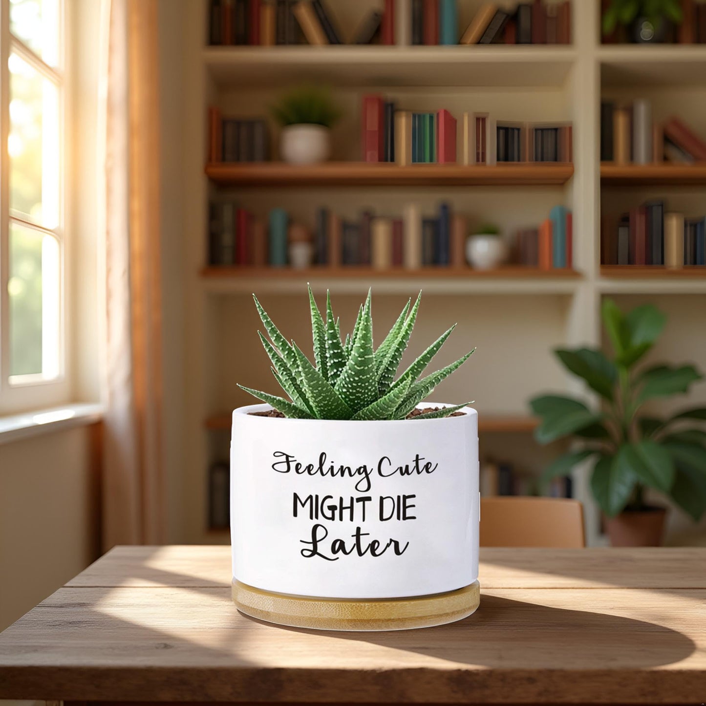 Haooxinwei Funny planters for Indoor Plants Garden Succulent Pots, with Drainage Holes and Saucer(No Plants) (Feeling Cute Might Die Later)