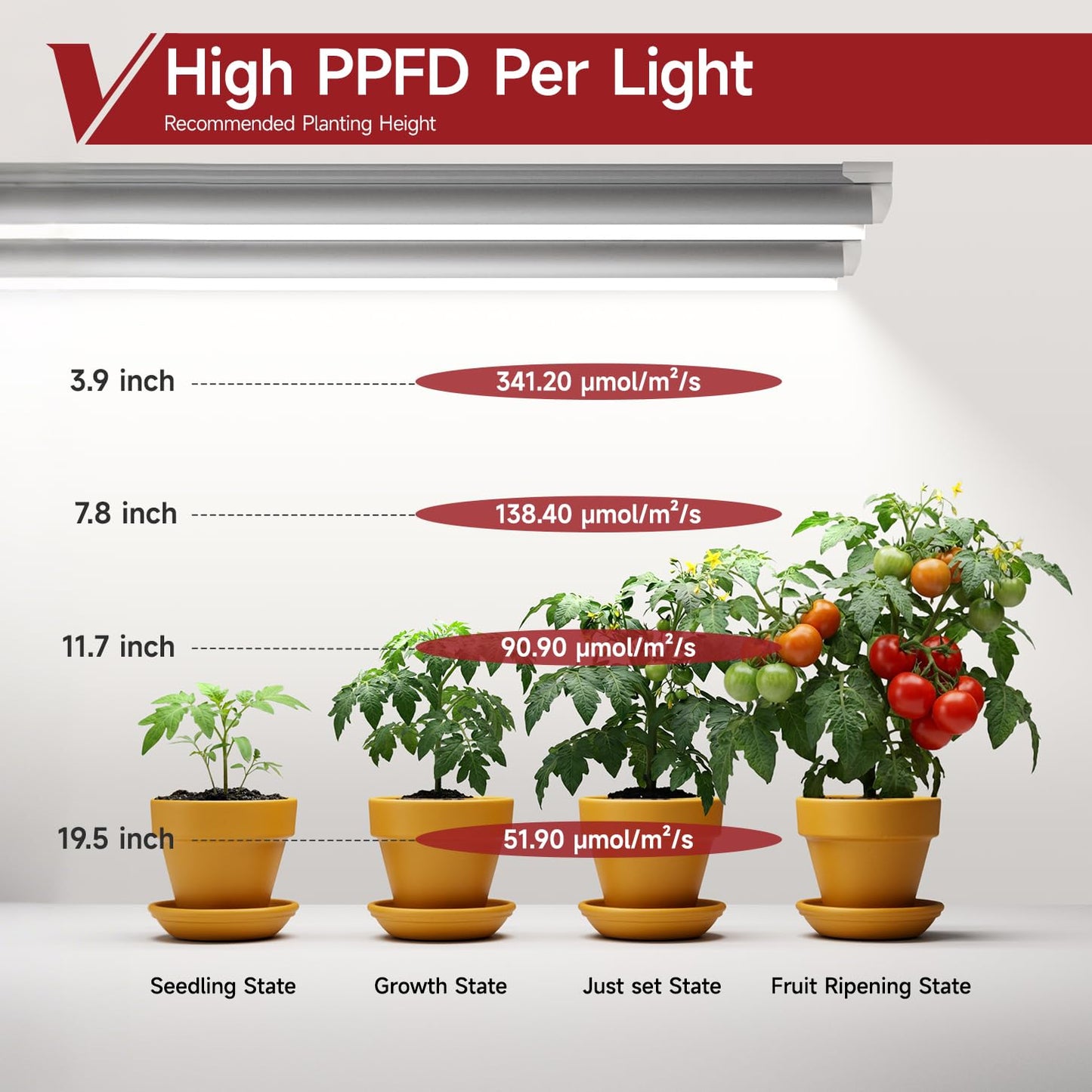 VShape 2 Pack LED Grow Light 4FT, 5000K Full Spectrum, 84W(2 x 42W), Linkable Growing Lamp Fixture, T8 Grow Lights for Indoor Plants, Seed Starting, Vegetables