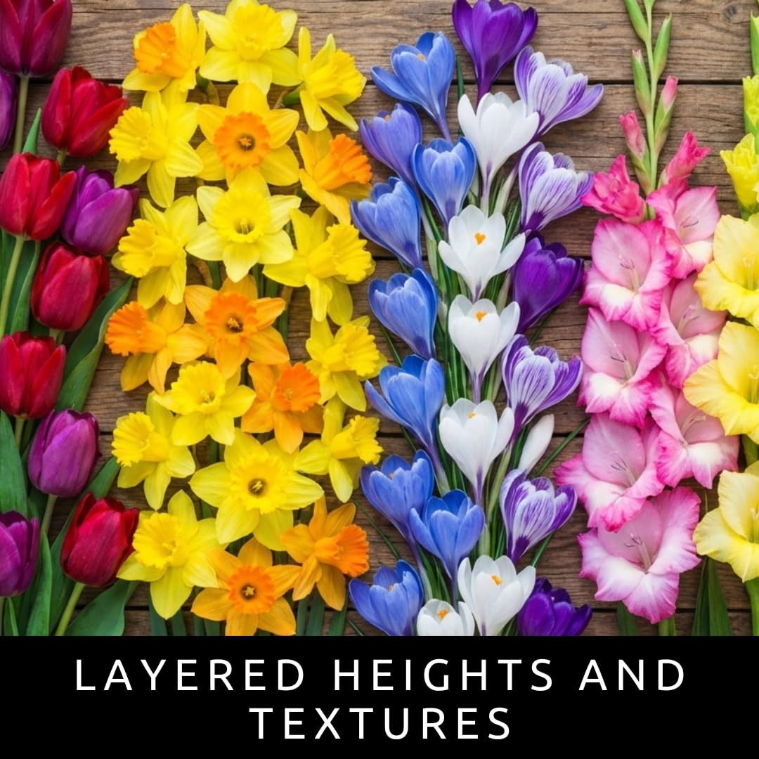 Complete Spring and Fall Flower Garden | 50 Fresh Bulbs | Bloom All Spring and Summer, Easy to Grow Flower Bulb, Indoor/Outdoor