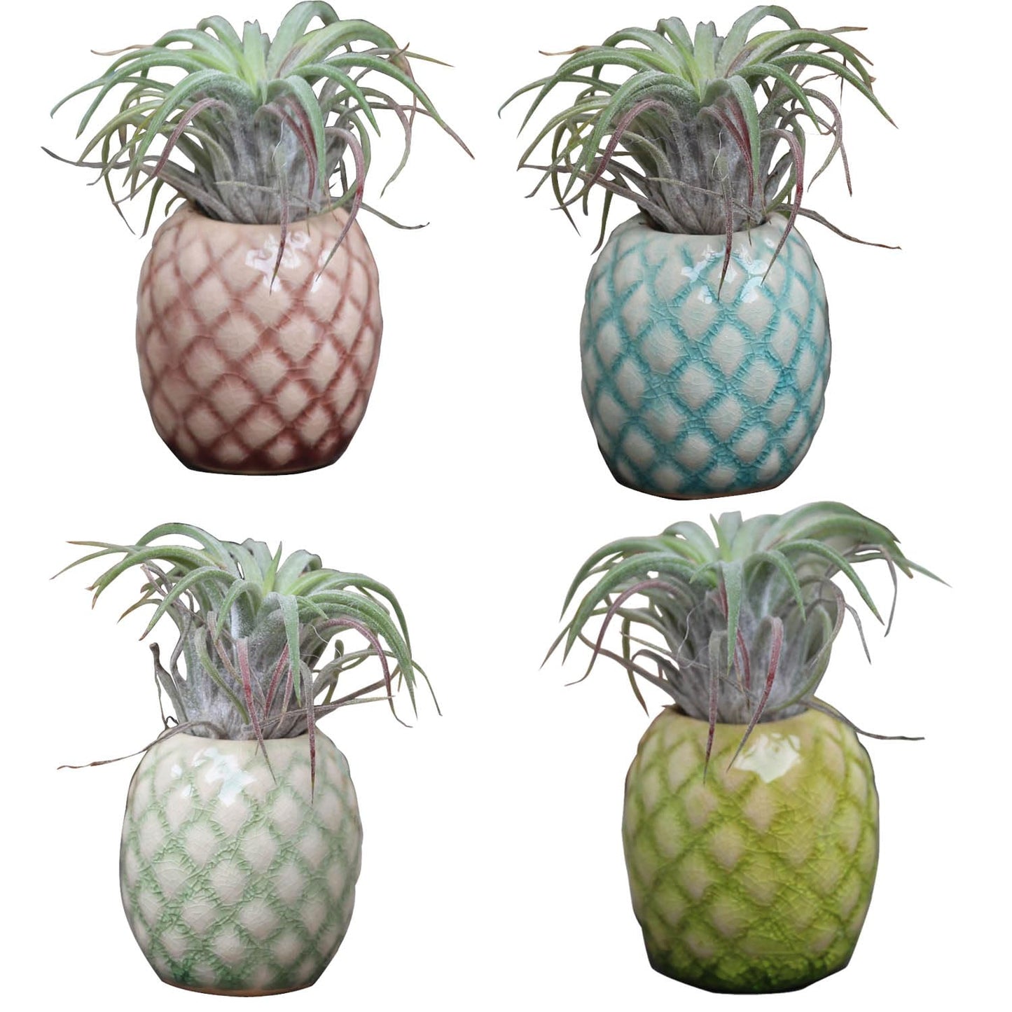 SCSFCVIUS Air Plant Holder Ceramic Planter - 4pcs Ceramic Cute Pineapple Air Plant Planter Tillandsia Airplants Table Countertop Holders (4 Pineapple)