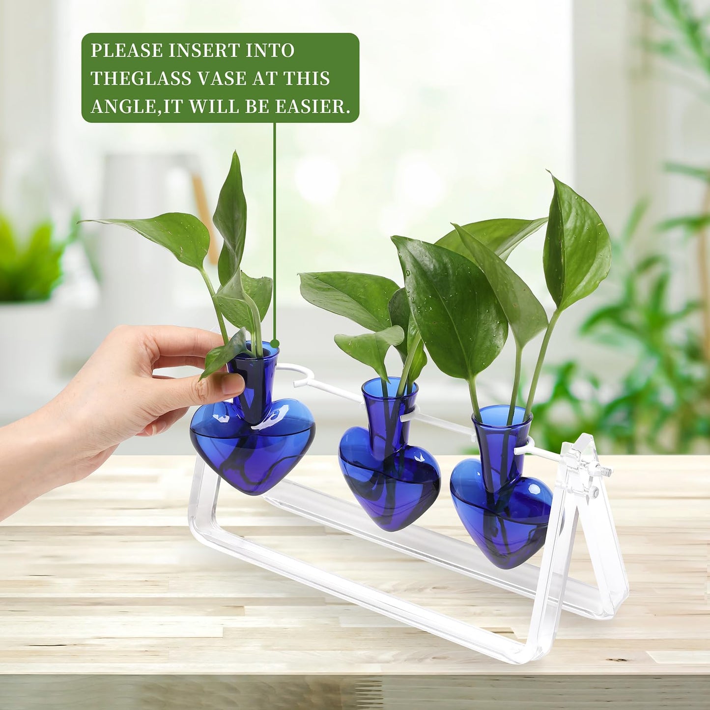CYZglass Clear Plant Terrarium Propagation Stations with Acrylic Stand Birthday Gifts for Women Office Home Decor