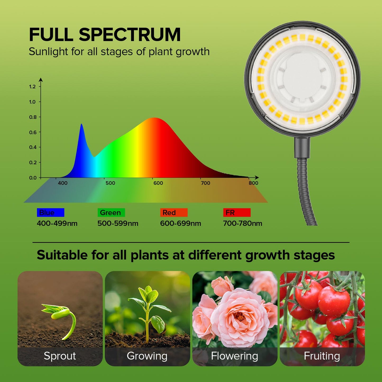 SGLEDs Desktop Plant Grow Light,12w Growing Lamps High Ppfd,Full Spectrum Desk Growth Light with Automatic Timer,4 Dimmable Levels（Black）