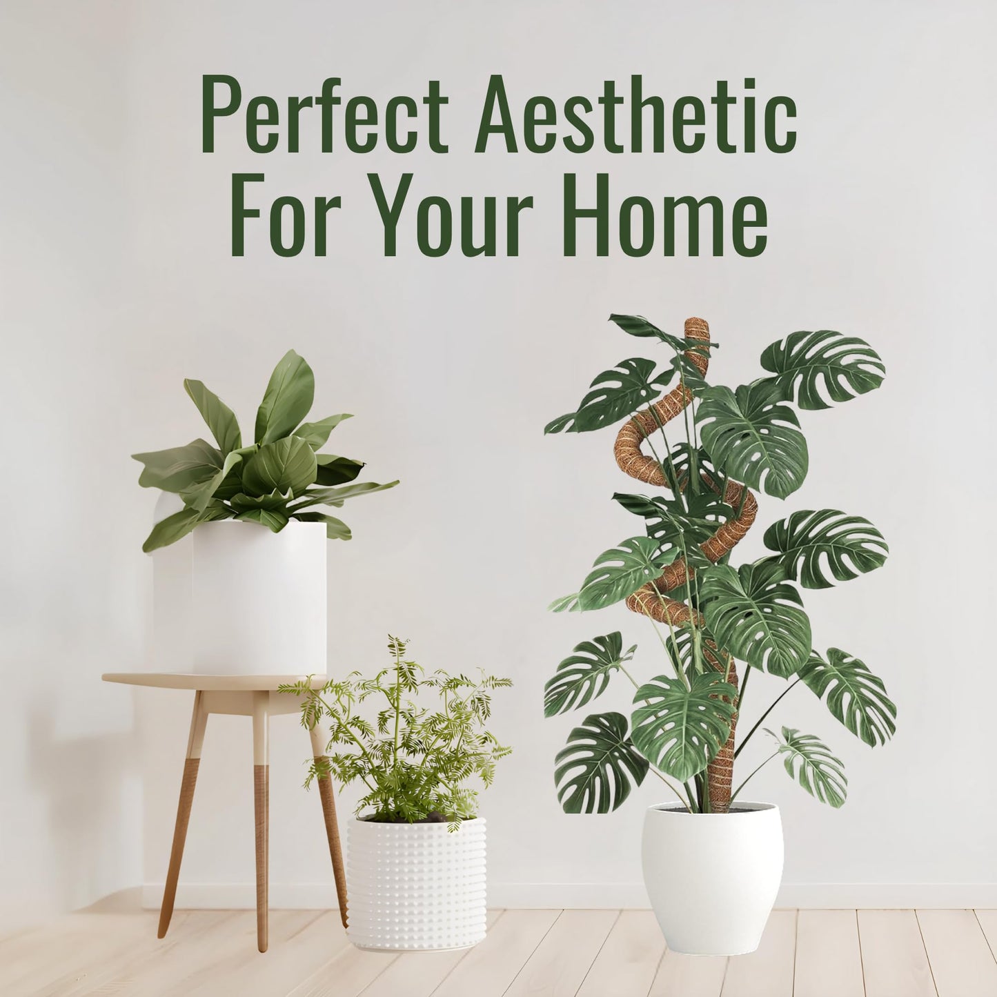 imezos 2 Pack 48 Inch Moss Pole for Plants Monstera, Tall Moss Poles for Climbing Plants Monstera, Handmade Coco Coir Plant Pole, Plant Support for Plant Grow